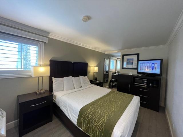 Hi View & 3* Manhattan Beach