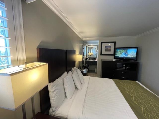 Hotel Hi View & Manhattan Beach